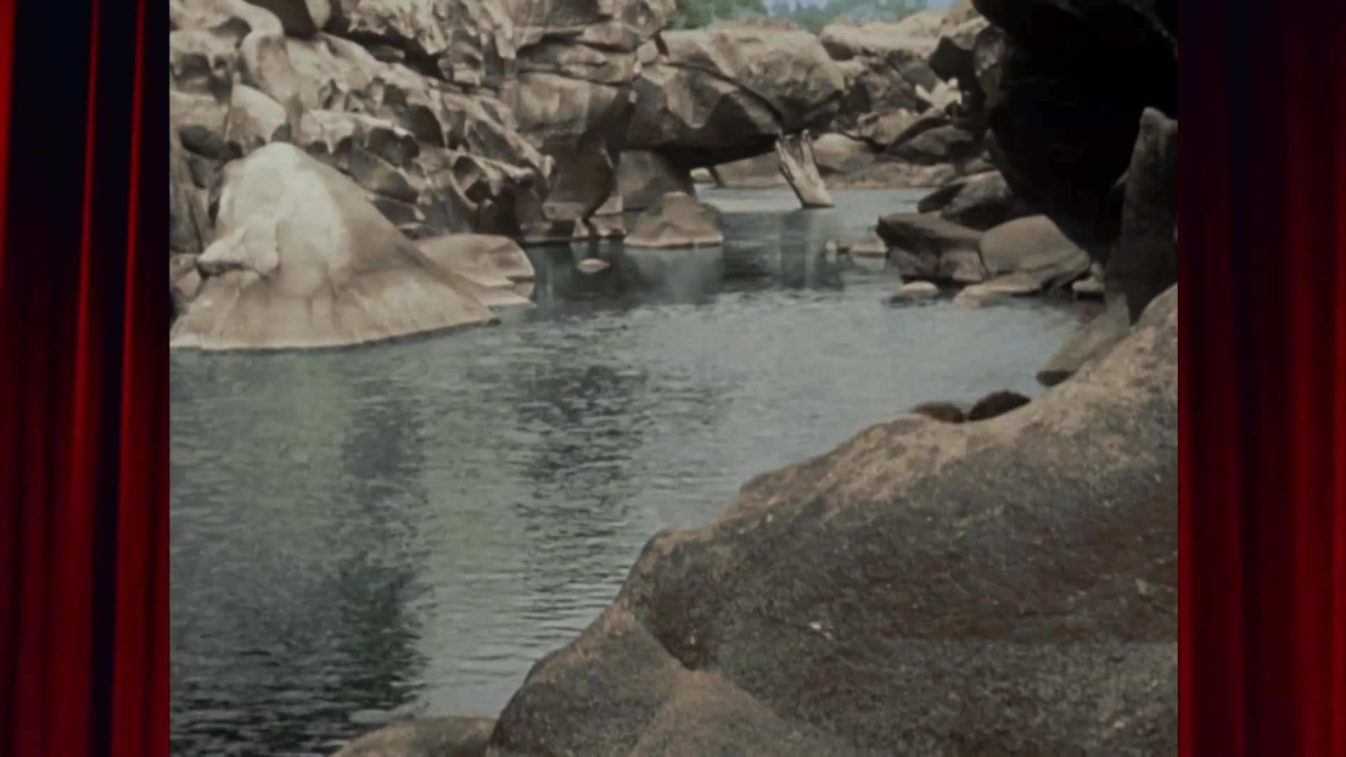 Stolen+Goods (a.k.a. Blue Steel)