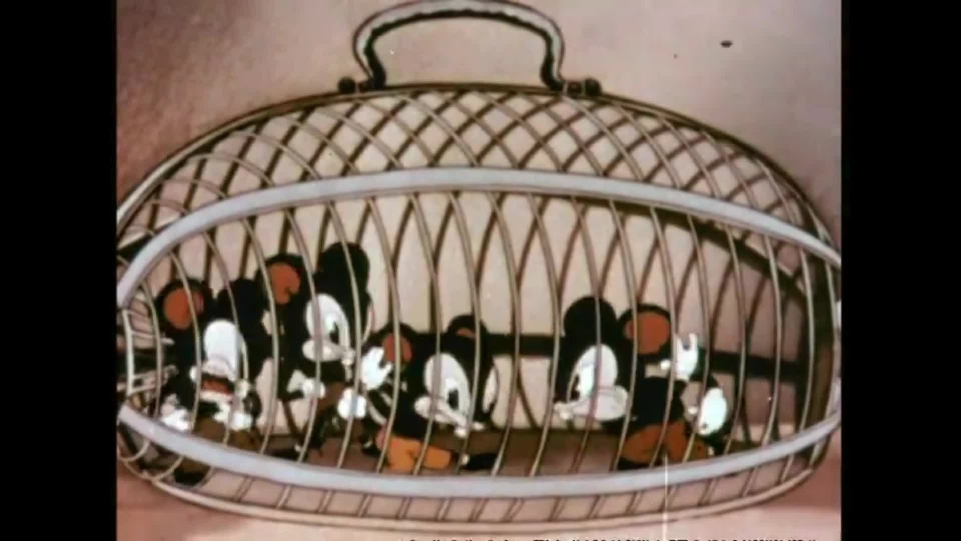 Cartoon Starcade - Episode 6